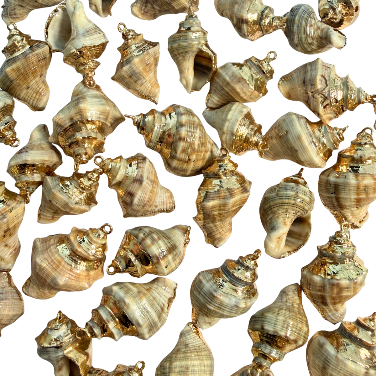 Conch Shell Pendant 1pc – Aussie Bead Supply
