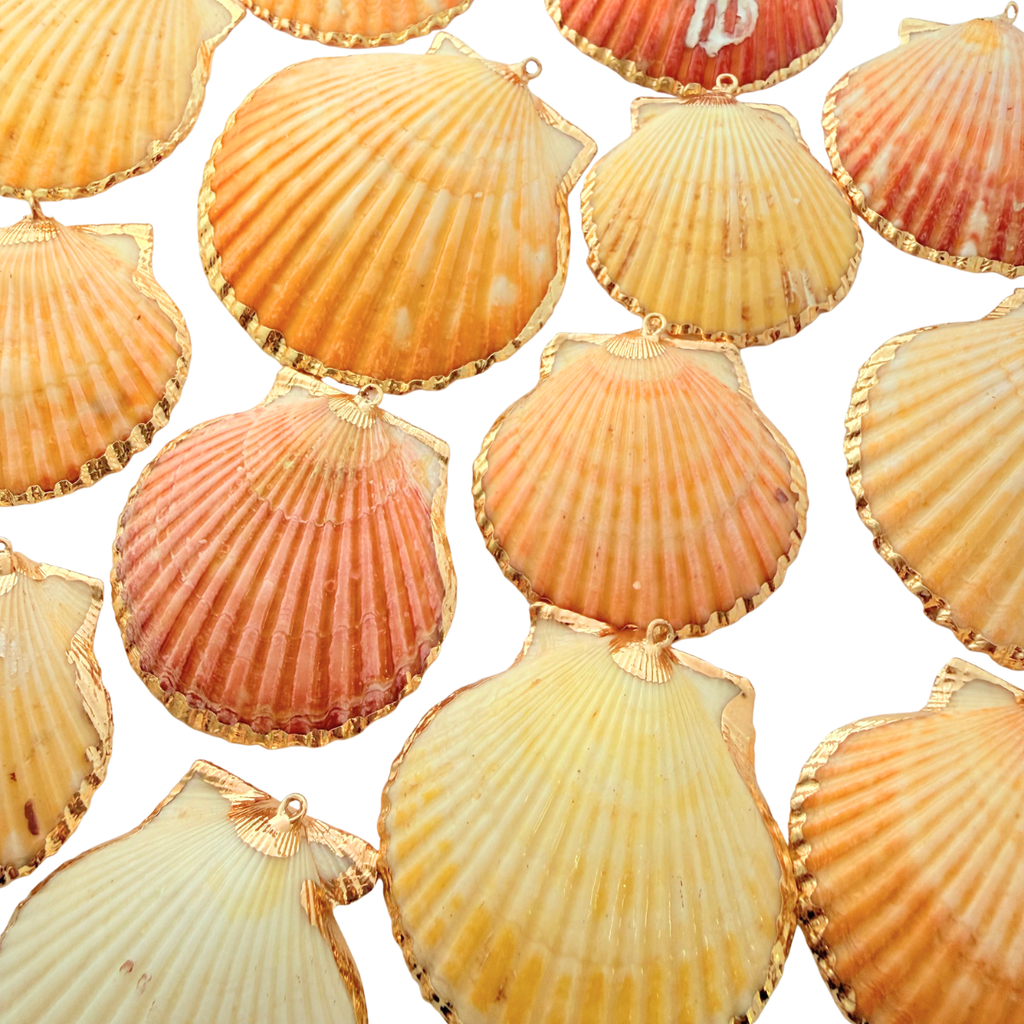 Large Shells – Aussie Bead Supply